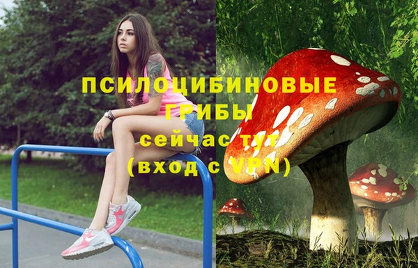МДМА Дмитровск