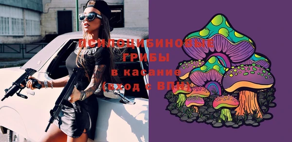 кокс Гусиноозёрск