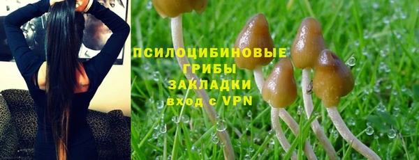 МДМА Дмитровск
