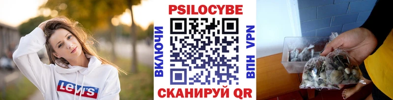 hydra ССЫЛКА  Майкоп  Галлюциногенные грибы Cubensis 
